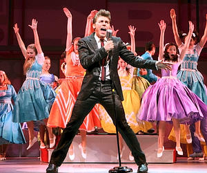 Bye Bye Birdie
